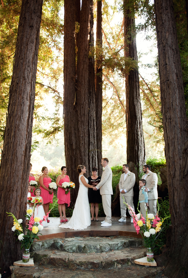 Beautiful wedding ceremony in redwood tree grove