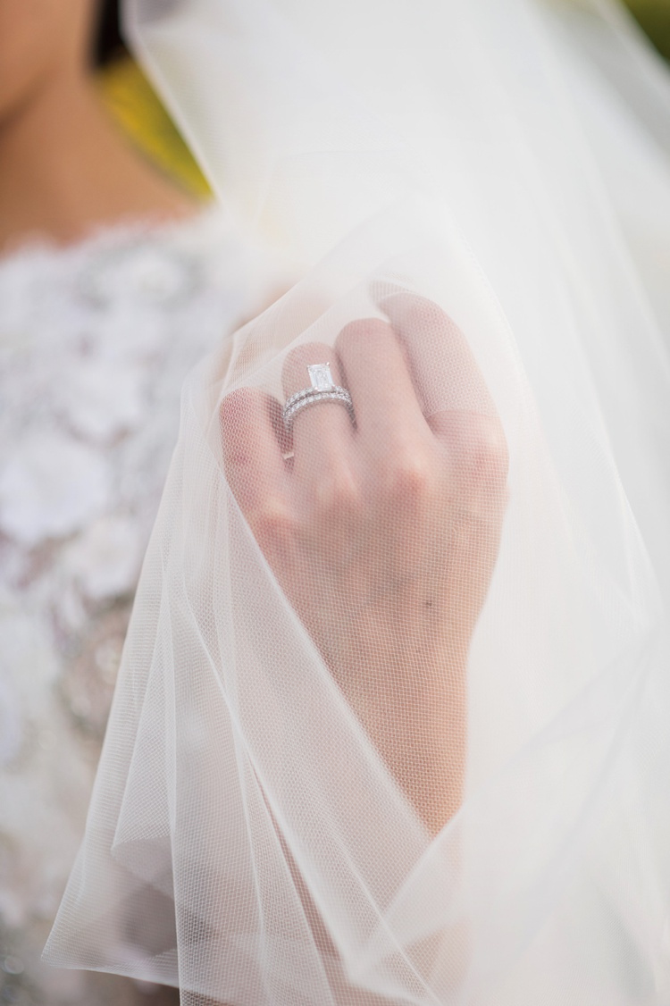 Wedding Veils and Rings